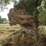 מלון Masseria Tutosa