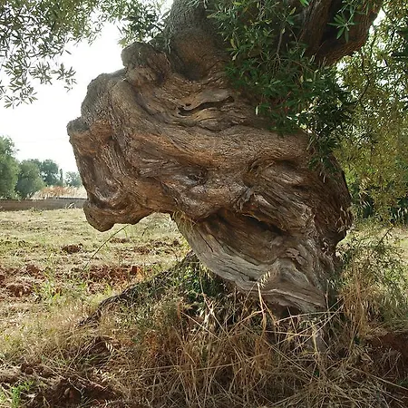 Ξενοδοχείο Masseria Tutosa