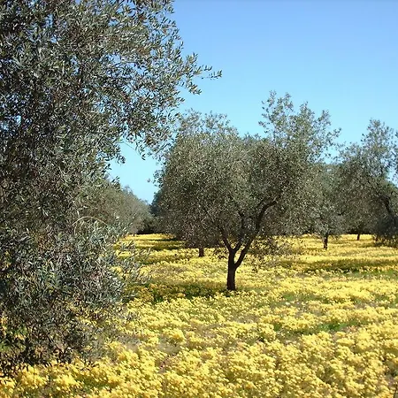 Masseria Tutosa Hotel Ostuni